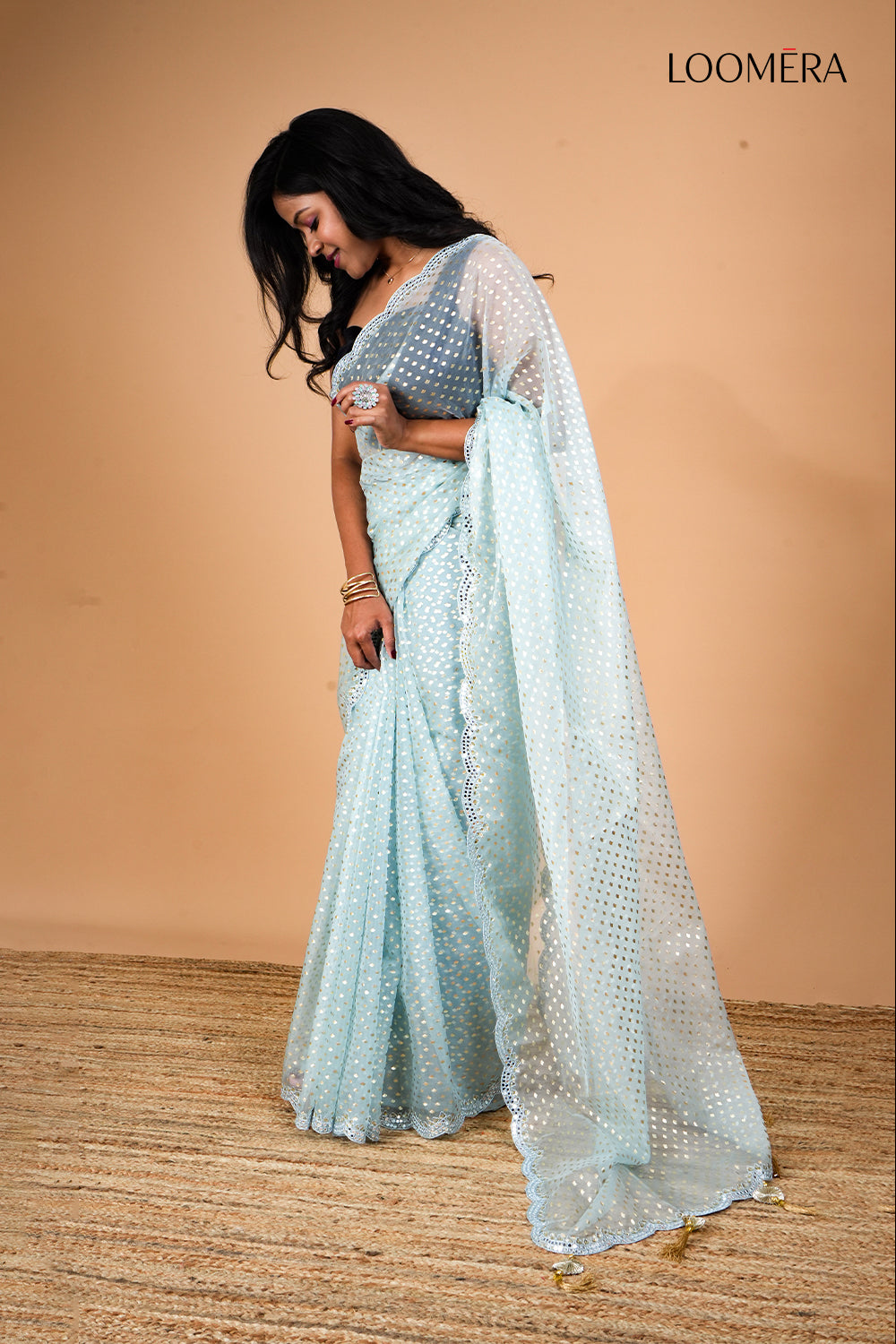 Pastel Blue Organza Saree with Mirror Scallop Border