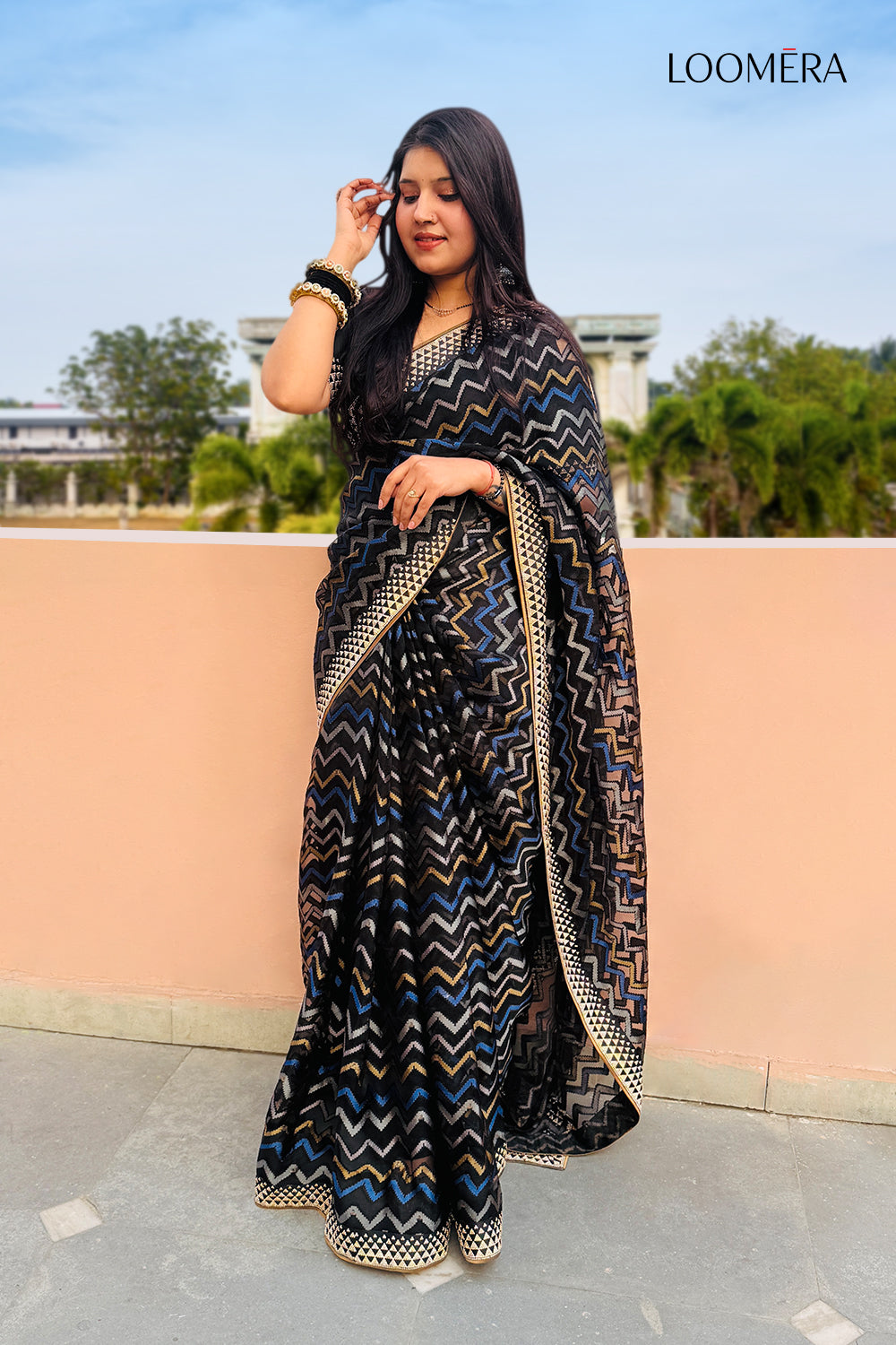 Black Organza Saree with Stud Work