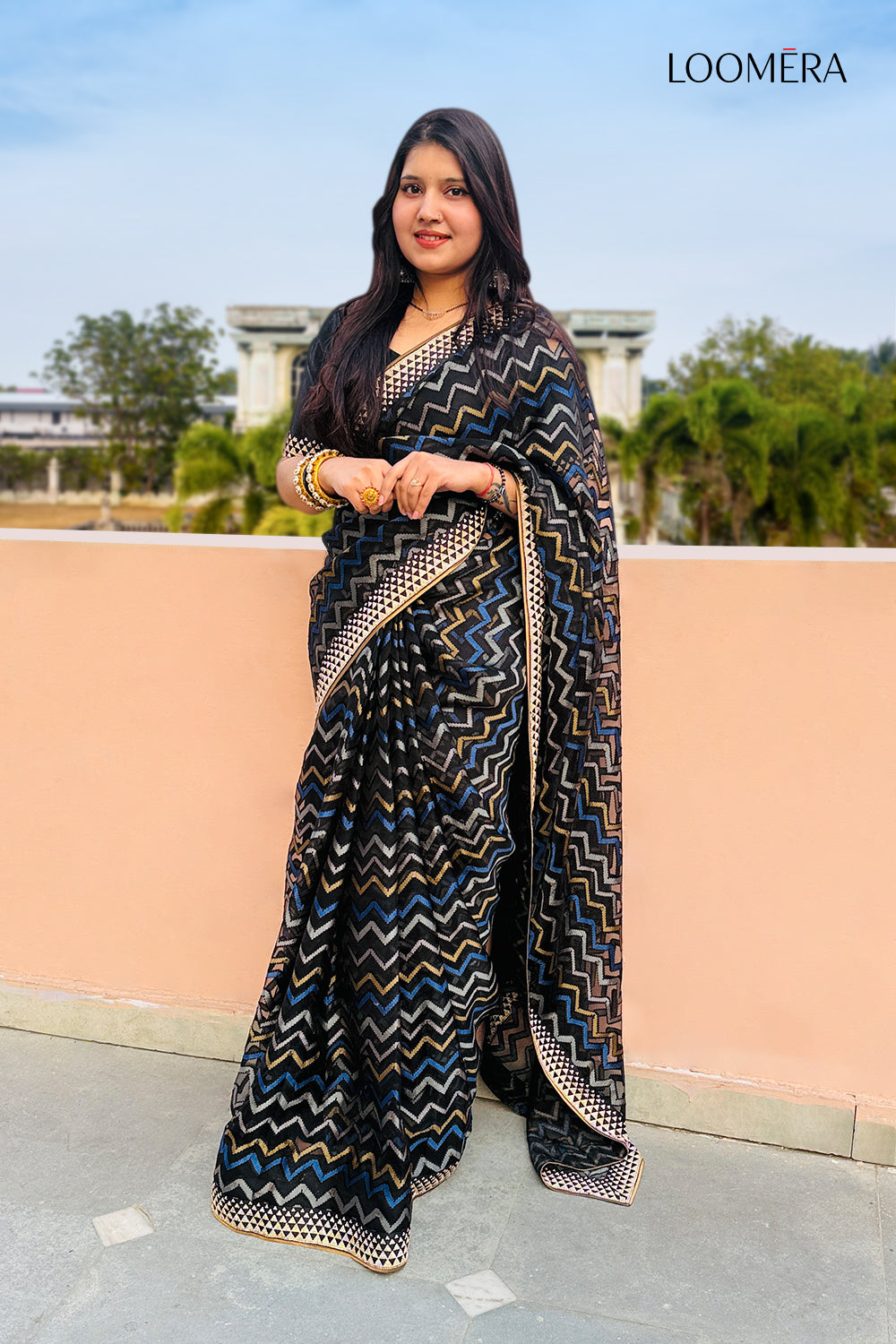 Organza Saree with Stone Border