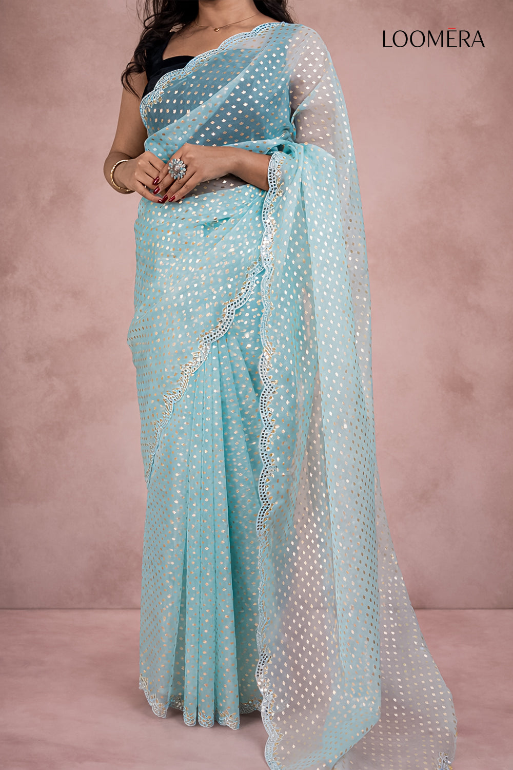 Pastel Blue Organza Saree