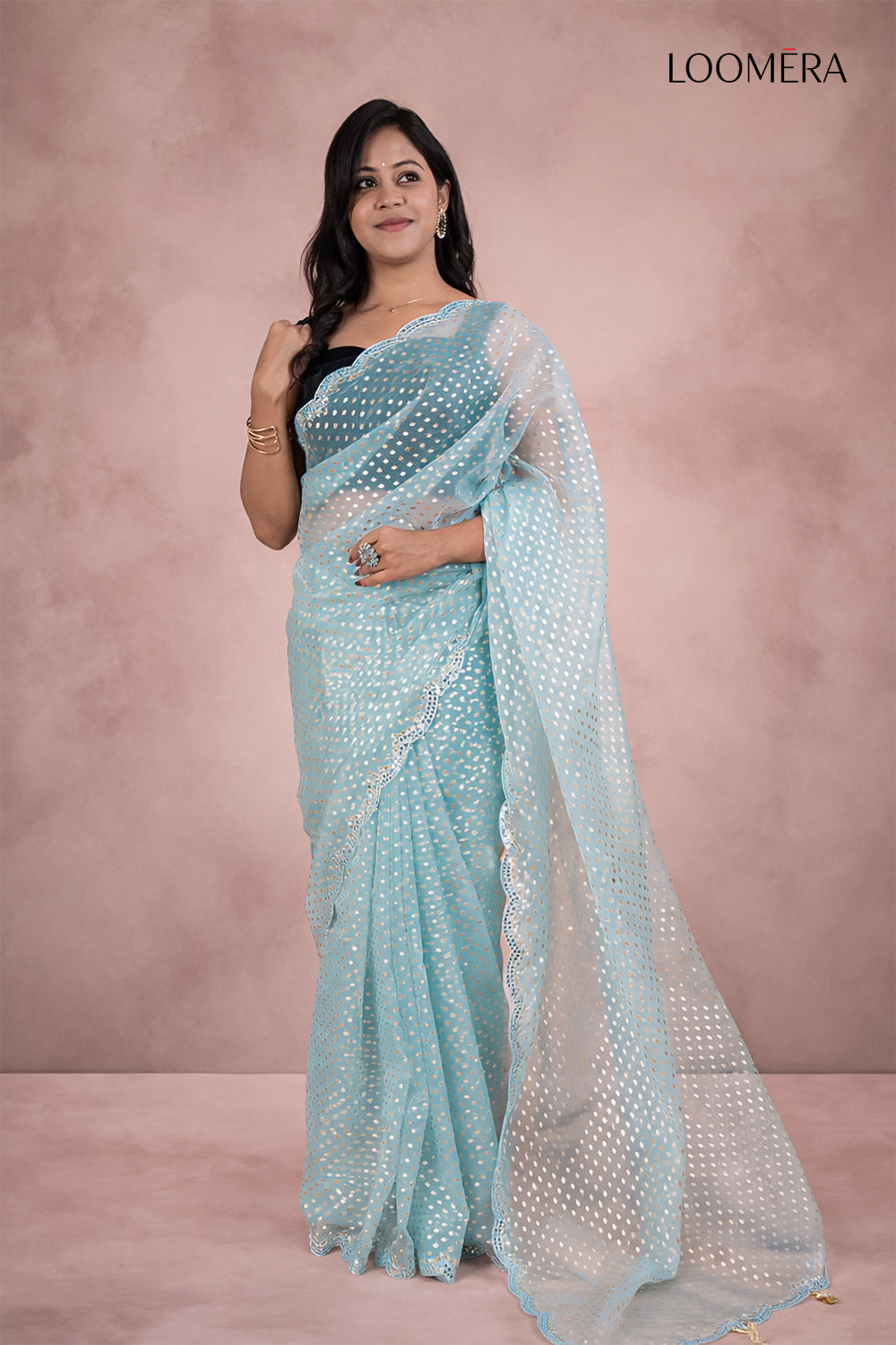 Pastel Blue Saree