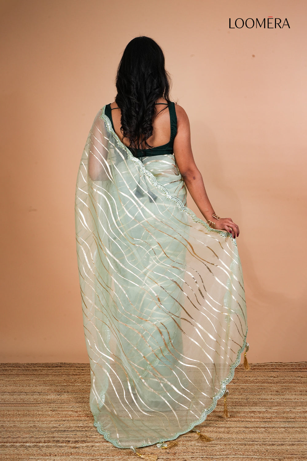 Pastel Green Organza Saree